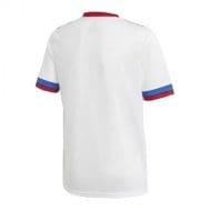 Белая футболка Сборной России по футболу на Евро 2020 купить