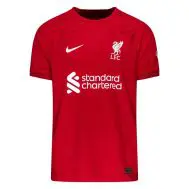 Детская футболка Ливерпуль 2023 года